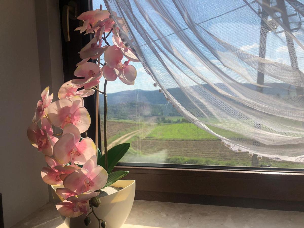 Apartamenty u Maksa Krzywcza Bagian luar foto