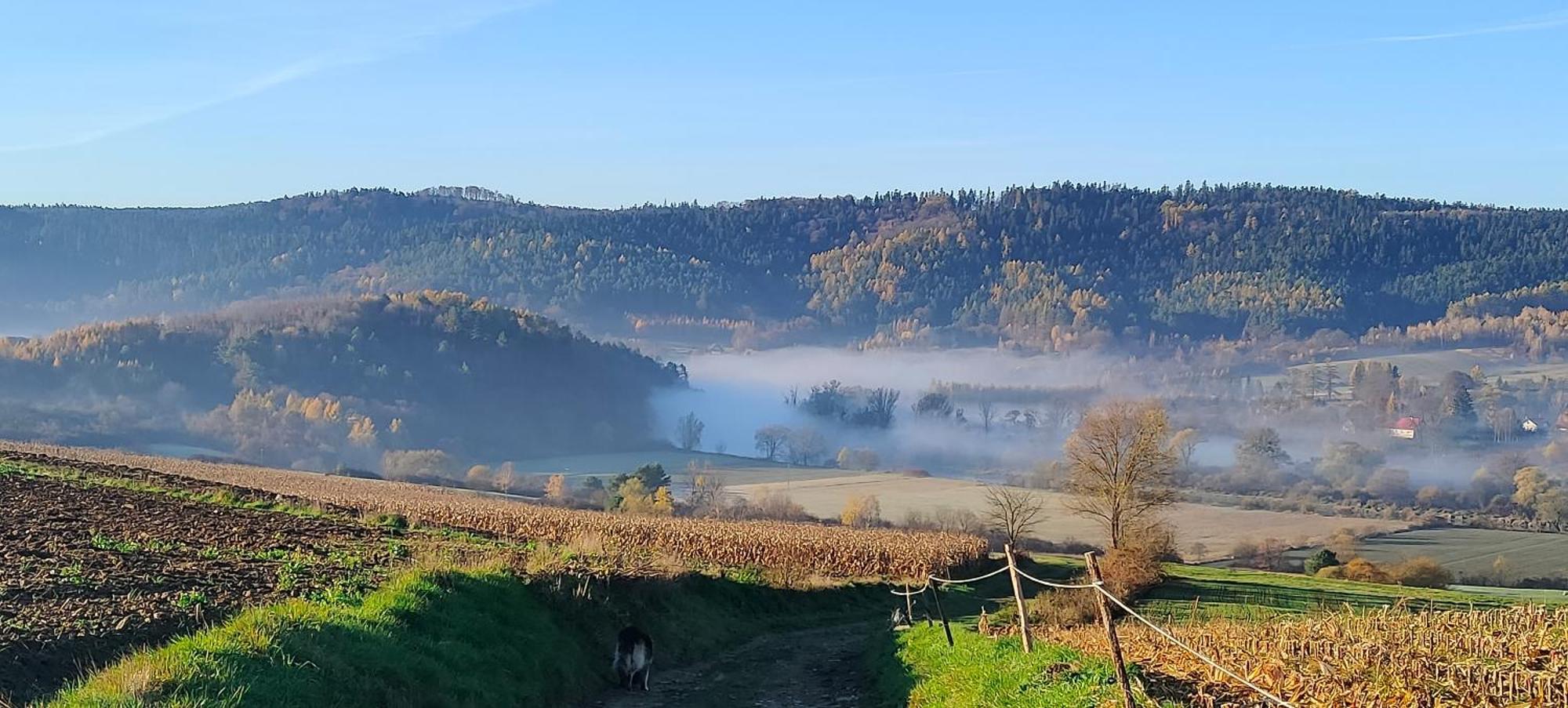 Apartamenty u Maksa Krzywcza Ruang foto